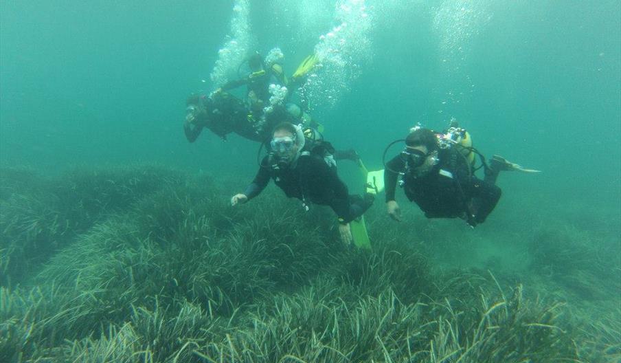 Subparke Turismo Activo