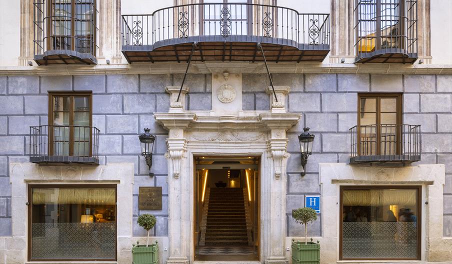 Hotel Palacio Solecio