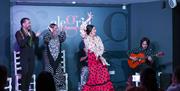 Espectáculo Flamenco Alegría en Málaga
