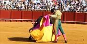 Plaza de Toros de la Real Maestranza de Caballería de Sevilla