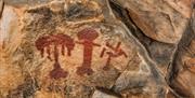 Arte Rupestre Patrimonio de la Humanidad por la UNESCO
