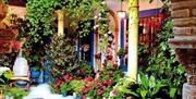 Festival de los Patios de Córdoba