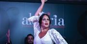 Espectáculo Flamenco Alegría en Málaga