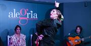 Espectáculo Flamenco Alegría en Málaga