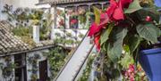 Patios de Córdoba en Navidad