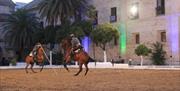 Córdoba Ecuestre - Caballerizas Reales de Córdoba