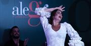 Espectáculo Flamenco Alegría en Málaga