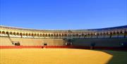 Plaza de Toros de la Real Maestranza de Caballería de Sevilla