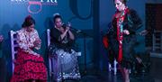 Espectáculo Flamenco Alegría en Málaga