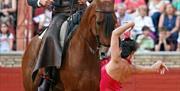 Córdoba Ecuestre - Caballerizas Reales de Córdoba