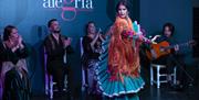 Espectáculo Flamenco Alegría en Málaga