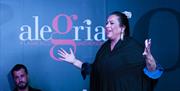 Espectáculo Flamenco Alegría en Málaga