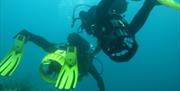 Buceo Las Negras