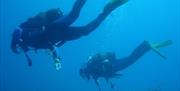 Buceo Las Negras