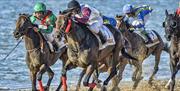 Carreras de caballos de Sanlúcar de Barrameda