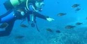 Buceo Las Negras