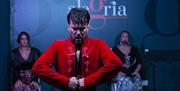 Espectáculo Flamenco Alegría en Málaga